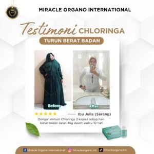 WhatsApp Image 2024-10-10 at 17.59.06