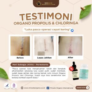 WhatsApp Image 2024-10-10 at 17.59.08 (1)